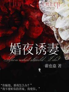 婚夜诱妻