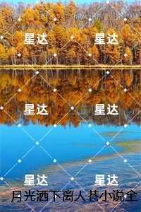 月光洒下离人巷小说全文：结局+番外